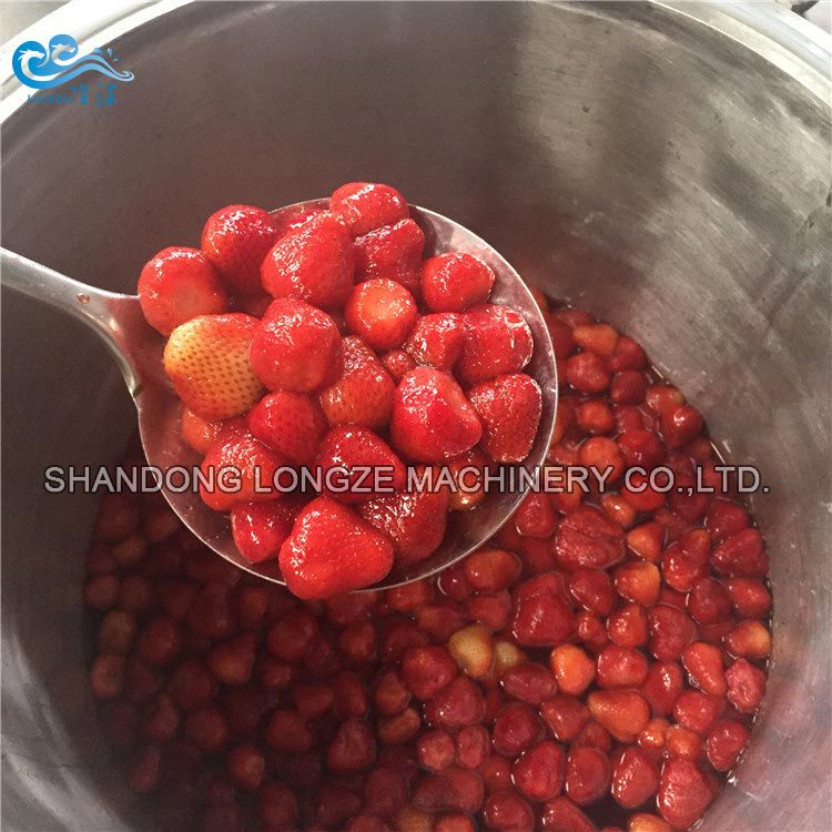 Candied Fruits Making Machines|Candied Fruit Vacuum Pressure Sugar Soaking Processing Machine